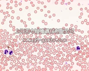 merck millipore,默克密理博,111661,快速血液涂片染色液试剂