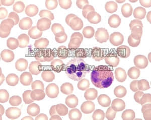 merck millipore,默克密理博,111674,快速血液涂片染色液试剂