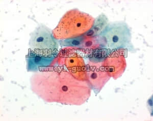 merck millipore,默克密理博,115925,橙 G