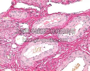 merck millipore,默克密理博,115973,Weigert's染色试剂