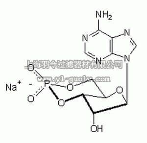 merck millipore,默克密理博,116801,Adenosine 3ʹ,5ʹ-cyclic Monophosphate, Sodium Salt - CAS 37839-81-9 - Calbiochem