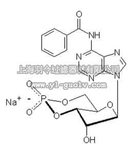 merck millipore,默克密理博,116802,Adenosine 3ʹ,5ʹ-cyclic Monophosphate, N⁶-Benzoyl-, Sodium Salt - CAS 30275-80-0 - Calbiochem
