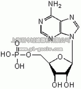 merck millipore,默克密理博,118110,Adenosine 5ʹ-Monophosphate, Disodium Salt - CAS 4578-31-8 - Calbiochem