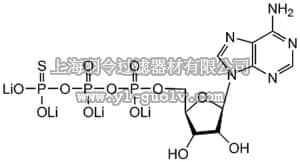 merck millipore,默克密理博,119123,Adenosine 5ʹ-O-(3-Thiotriphosphate), Solution, Tetralithium Salt - CAS 93839-89-5 - Calbiochem
