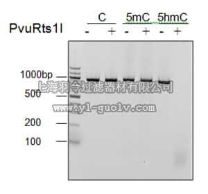 merck millipore,默克密理博,14-1058,PvuRts1I (5-hmC Restriction Endonuclease)