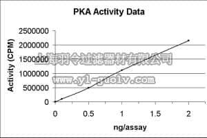 merck millipore,默克密理博,14-440,PKA Protein, Recombinant, 10 µg