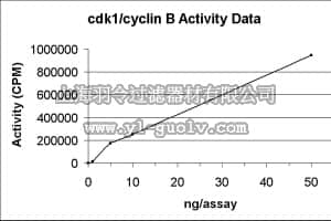 merck millipore,默克密理博,14-450,Cdk1/cyclin B Protein, active, 10 µg