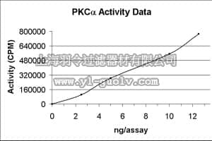 merck millipore,默克密理博,14-484,PKCα Protein, active, 10 µg