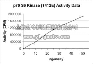 merck millipore,默克密理博,14-486,p70 S6 Kinase Protein, active, 10 µg