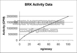 merck millipore,默克密理博,14-613,Brk Protein, active, 10 µg