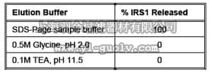 merck millipore,默克密理博,16-146,Anti-IRS1 Antibody, agarose conjugate