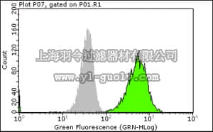 merck millipore,默克密理博,16-244,Anti-phospho-EGFR (Tyr1173) Antibody, clone 9H2, Alexa Fluor 488