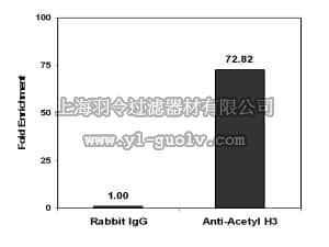 merck millipore,默克密理博,16-661X,Magna ChIP™ Protein A Magnetic Beads -Trial Size