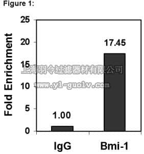 merck millipore,默克密理博,16-662,Magna ChIP™ Protein G Magnetic Beads