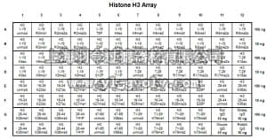 merck millipore,默克密理博,16-667,AbSurance™ Histone H3 Antibody Specificity Array