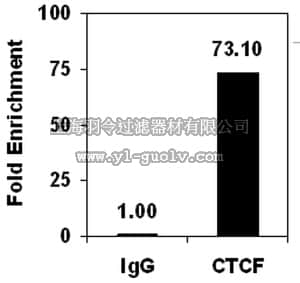 merck millipore,默克密理博,17-10044,ChIPAb+ CTCF - ChIP Validated Antibody and Primer Set