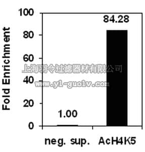 merck millipore,默克密理博,17-10045,ChIPAb+ Acetyl-Histone H4 (Lys5) - ChIP Validated Antibody and Primer Set, rabbit monoclonal