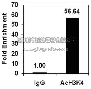 merck millipore,默克密理博,17-10050,ChIPAb+ Acetyl-Histone H3 (Lys4) - ChIP Validated Antibody and Primer Set