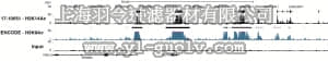 merck millipore,默克密理博,17-10051,ChIPAb+ Acetyl-Histone H3 (Lys14) - ChIP Validated Antibody and Primer Set, rabbit monoclonal