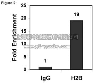 merck millipore,默克密理博,17-10054,ChIPAb+ Histone H2B - ChIP Validated Antibody and Primer Set