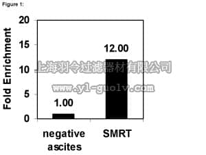 merck millipore,默克密理博,17-10057,ChIPAb+ SMRT - ChIP Validated Antibody and Primer Set