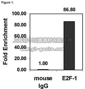 merck millipore,默克密理博,17-10061,ChIPAb+ E2F-1 - ChIP Validated Antibody and Primer Set