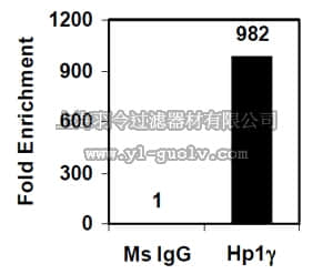 merck millipore,默克密理博,17-10086,EZ-Magna ChIP™ A/G Chromatin Immunoprecipitation Kit