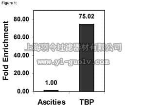merck millipore,默克密理博,17-10098,ChIPAb+ TATA Binding Protein (TBP) - ChIP Validated Antibody and Primer Set