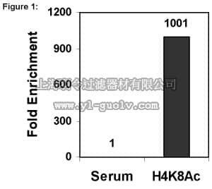 merck millipore,默克密理博,17-10099,ChIPAb+ Acetyl-Histone H4 (Lys8) - ChIP Validated Antibody and Primer Set