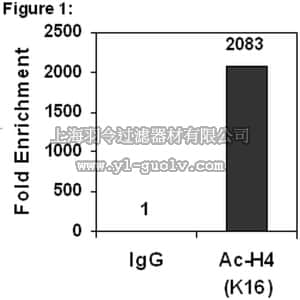 merck millipore,默克密理博,17-10101,ChIPAb+ Acetyl-Histone H4 (Lys16) - ChIP Validated Antibody and Primer Set
