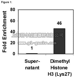 merck millipore,默克密理博,17-10108,ChIPAb+ Dimethyl-Histone H3 (Lys27) - ChIP Validated Antibody and Primer Set, rabbit monoclonal