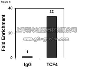 merck millipore,默克密理博,17-10109,ChIPAb+ TCF-4 - ChIP Validated Antibody and Primer Set