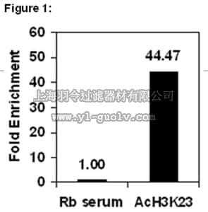 merck millipore,默克密理博,17-10112,ChIPAb+™ Acetyl Histone H3 (Lys23) - ChIP Validated Antibody and Primer Set