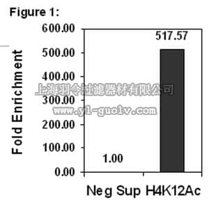 merck millipore,默克密理博,17-10121,ChIPAb+ Acetyl-Histone H4 (Lys12) - ChIP Validated Antibody and Primer Set, rabbit monoclonal