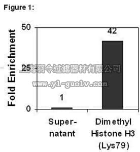 merck millipore,默克密理博,17-10125,ChIPAb+™ Dimethyl-Histone H3 (Lys79) - ChIP Validated Antibody and Primer Set, rabbit monoclonal
