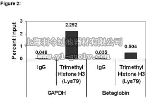 merck millipore,默克密理博,17-10130,ChIPAb+™ Trimethyl-Histone H3 (Lys79) - ChIP Validated Antibody and Primer Set