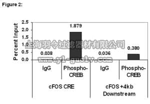 merck millipore,默克密理博,17-10131,ChIPAb+™ Phospho-CREB (Ser133) - ChIP Validated Antibody and Primer Set