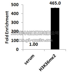 merck millipore,默克密理博,17-10136,ChIPAb+ Dimethyl-Histone H3 (Lys36) - ChIP Validated Antibody and Primer Set