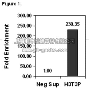 merck millipore,默克密理博,17-10141,ChIPAb+™ Phospho-Histone H3 (Thr3) - ChIP Validated Antibody and Primer Set, rabbit monoclonal