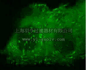 merck millipore,默克密理博,17-10154,LentiBrite™ Paxillin-GFP Lentiviral Biosensor