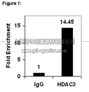merck millipore,默克密理博,17-10238,ChIPAb+™ HDAC3 Antibody