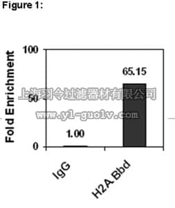 merck millipore,默克密理博,17-10246,ChIPAb+™ Histone H2A.Bbd - ChIP Validated Antibody and Primer Set