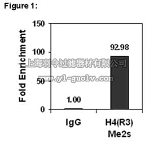 merck millipore,默克密理博,17-10250,ChIPAb+™ Dimethyl-Histone H4 (Arg3) Symmetric - ChIP Validated Antibody and Primer Set