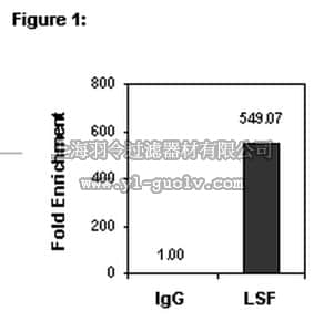 merck millipore,默克密理博,17-10252,ChIPAb+™ LSF - ChIP Validated Antibody and Primer Set