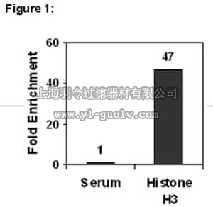 merck millipore,默克密理博,17-10254,ChIPAb+™ Histone H3 (CT) - ChIP Validated Antibody and Primer Set