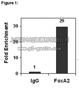 merck millipore,默克密理博,17-10258,ChIPAb+™ FOXA2 - ChIP Validated Antibody and Primer Set