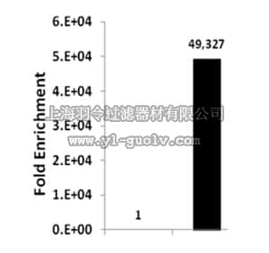 merck millipore,默克密理博,17-10259,ChIPAb+ Acetyl-Histone H3 (Lys56) - ChIP Validated Antibody and Primer Set