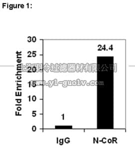 merck millipore,默克密理博,17-10260,ChIPAb+™ N-CoR Antibody