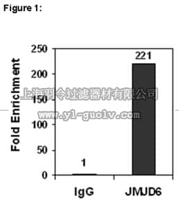 merck millipore,默克密理博,17-10263,ChIPAb+™ JMJD6 - ChIP Validated Antibody and Primer Set