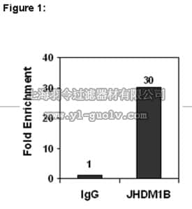 merck millipore,默克密理博,17-10264,ChIPAb+™ JHDM1B Antibody